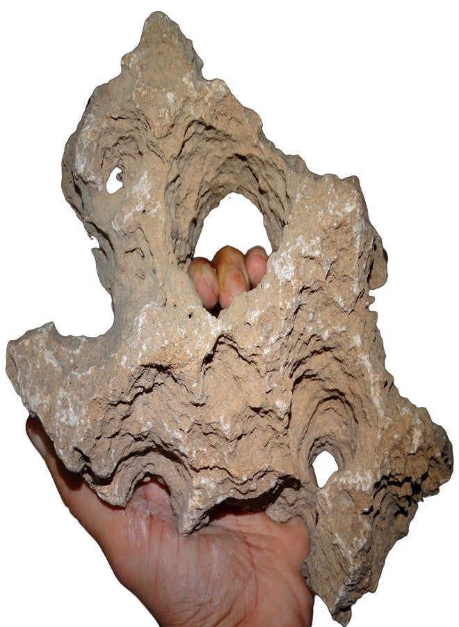 Maalavya صخور مالافيا المجوفة بوزن 3 كجم لـ |زينة أحواض السمك|إعداد أحواض الشعاب المرجانية|ديكور الحدائق|حجر الماء. - Image 3